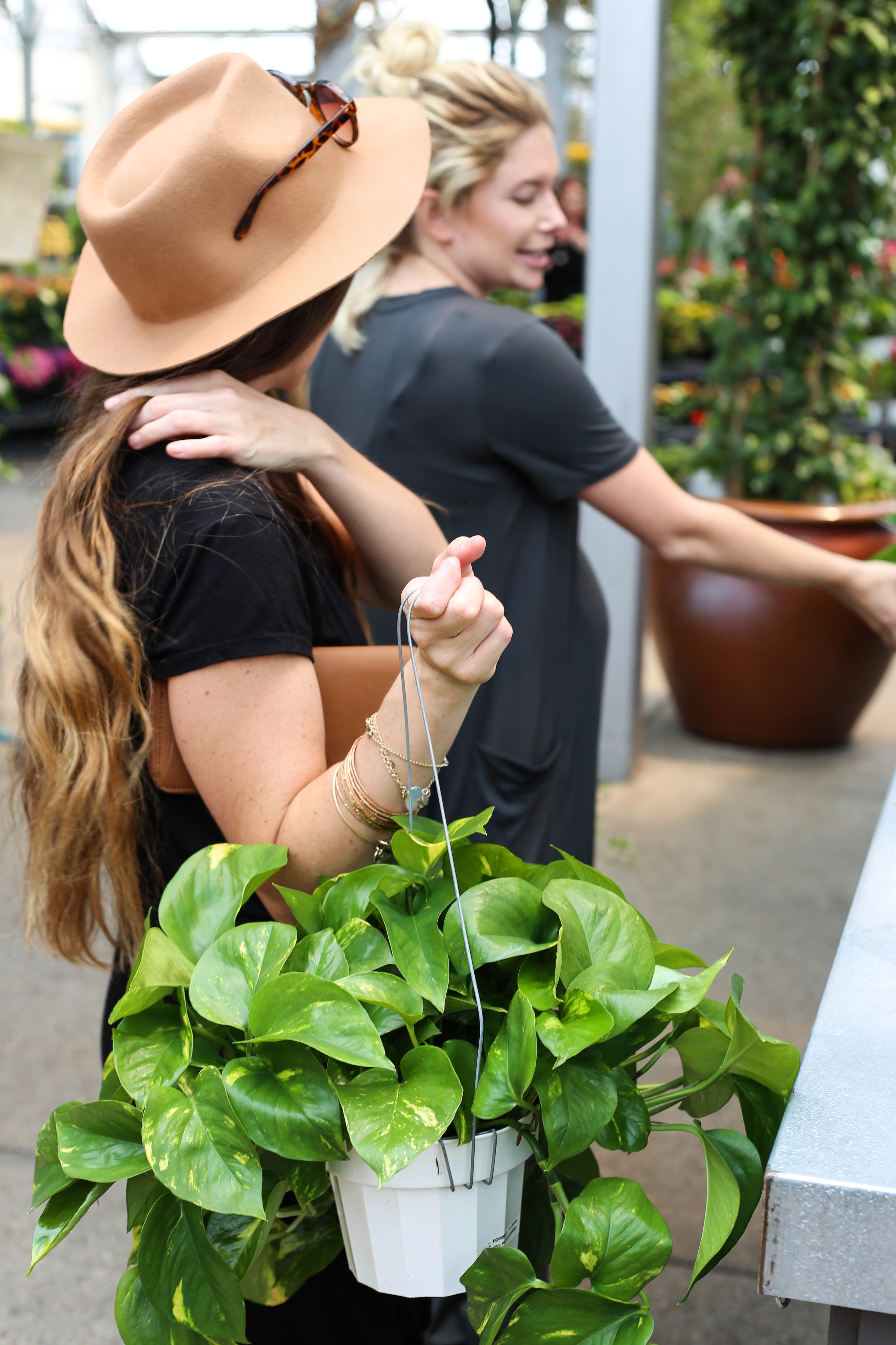 hanging plants