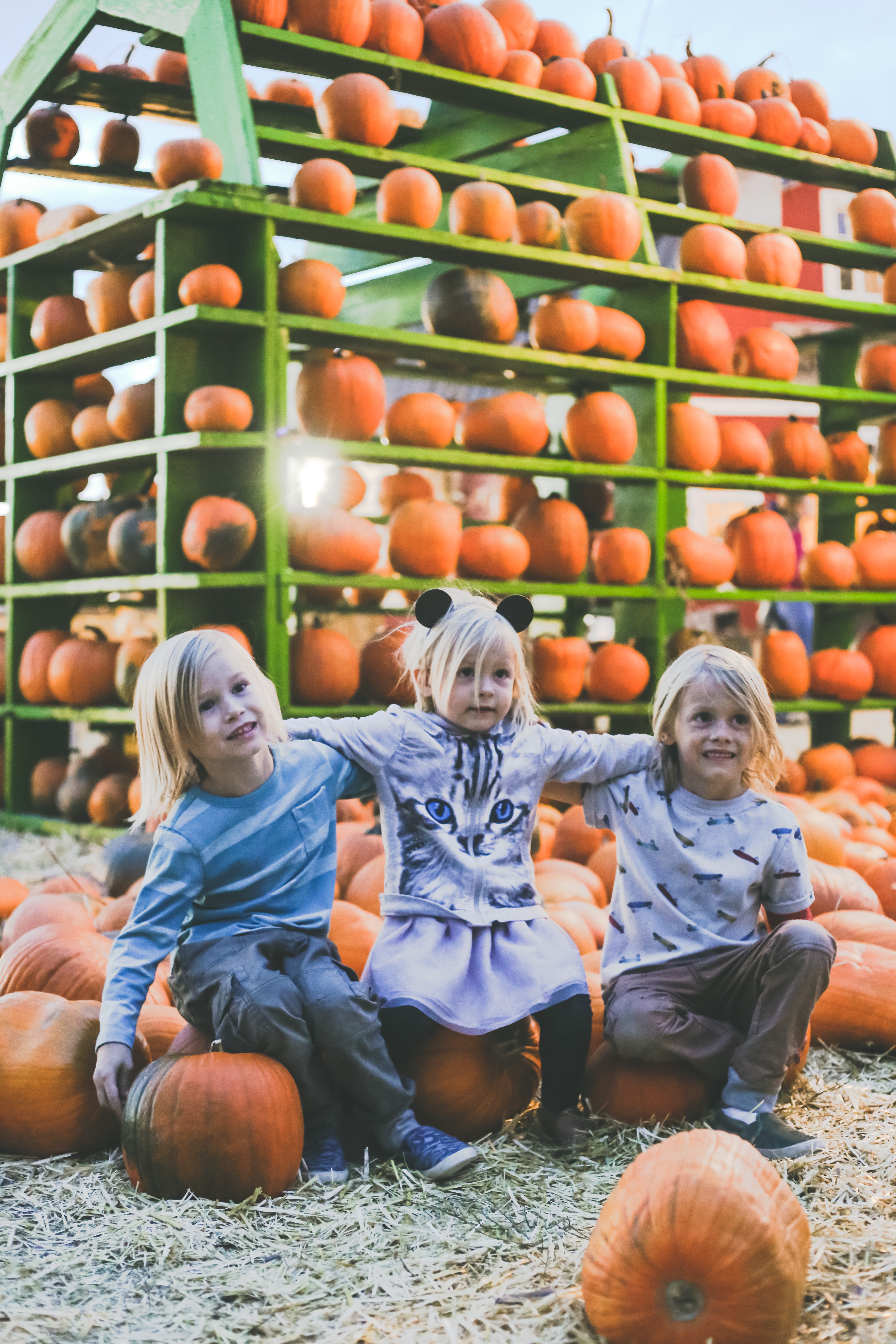 pumpkin patch