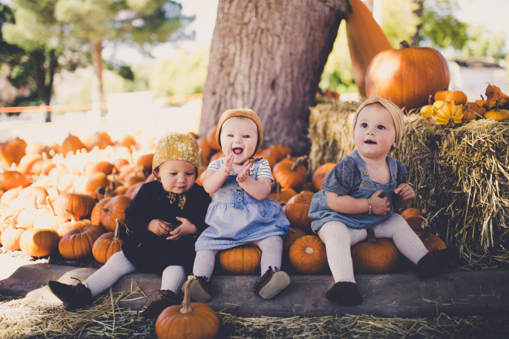 pumpkin patch in st. george utah